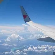ひーの画像