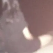 さら