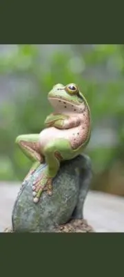 ブジカエルの画像