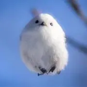 REN☆RENの画像
