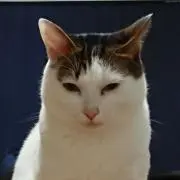 Seiの画像