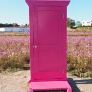 ちるるるの画像