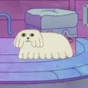 ハミィの画像