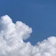 mariの画像