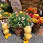 しらくんの画像