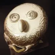 ゆきんこの画像