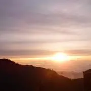 ナッツの画像