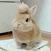 さおりん