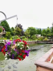 reiの画像