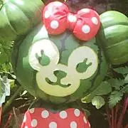 やっちゃんの画像