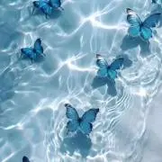 raraの画像