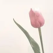 himama716