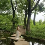 roseの画像