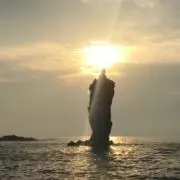 Giaの画像