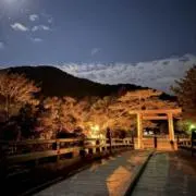 TAGの画像