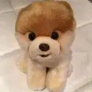 JUJUの画像