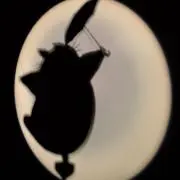 れいの画像