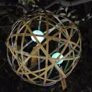 わん