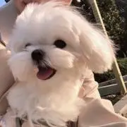 ♡の画像