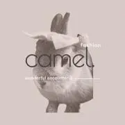 camel.の画像