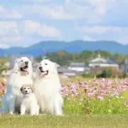 た〜ちゃん