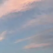 ミドトトの画像