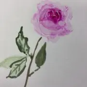 Ribonの画像
