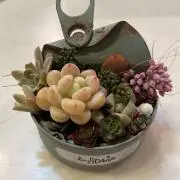 ふたばの画像