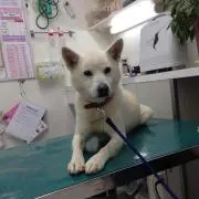 にしくめの画像