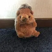 おおのの画像
