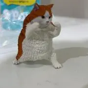 トモミの画像