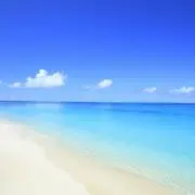 ふく☆の画像