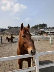 ヒロの画像