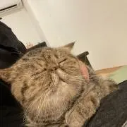 1122345の画像