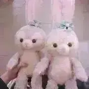 Flowerの画像