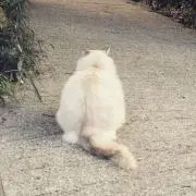 moi.