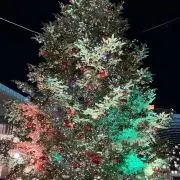 メープルの画像
