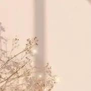 chiiの画像