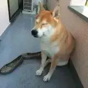 まーちゃん