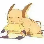 きぬの画像