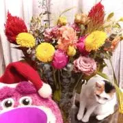 Moimoi⭐️ブレスレットお休み中の画像