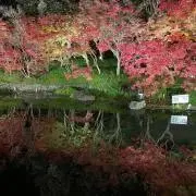 J✩の画像