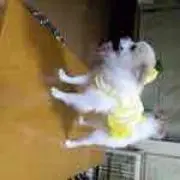 muku