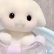 ︎︎ゆゆ