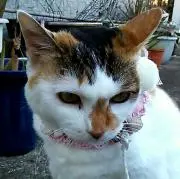 みぃみ＆たぁ☆要プロフ必読