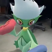 カジキマグロの画像