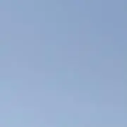 Mの画像