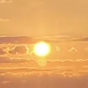 たかの画像