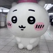 Nの画像