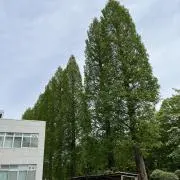 ザーラー